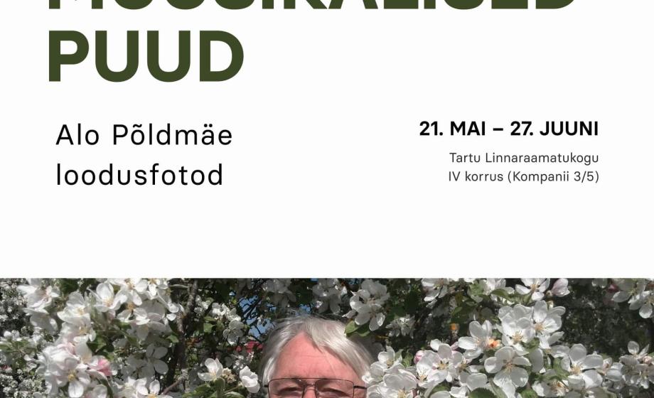 n_poster näituse juurde